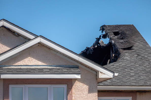 Top rated local Firefighting Water Removal specialists in Seattle, WA